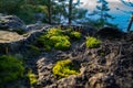 Mossy rock at Deception Pass Royalty Free Stock Photo
