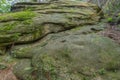 A mossy rock forms in the Przadki Spinners nature reserve