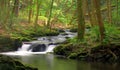 Mossy Rock stream