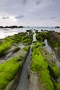 Mossy rocks at a beach in Kudat, Sabah, East Malaysia