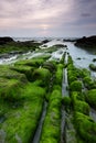 Mossy rocks at a beach in Kudat, Sabah, East Malaysia