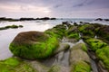 Mossy rocks at a beach in Kudat, Sabah, East Malaysia