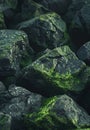 Mossy Rocks in Moody Lighting Royalty Free Stock Photo