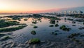 Mossy rocks over the small pool on the sandy beach after the tide with a cityscape background Royalty Free Stock Photo