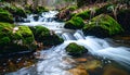 Mossy rocks in a small stream with white water flowing over them in a forest Royalty Free Stock Photo
