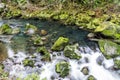 Mossy rocks at a stream in Oregon`s famous Columbia River Gorge. Pacific Northwest