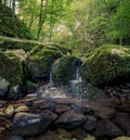 Mossy rocky stream with water cascade waterfall in a lush green summer forest Royalty Free Stock Photo