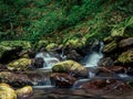 Mossy rocky stream with water cascade waterfall in a lush green summer forest Royalty Free Stock Photo