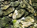 Mossy rough stone wall closeup photo texture. Rustic stone wall of ancient building. Royalty Free Stock Photo