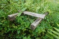 Mossy Stairs between green bushes on nature