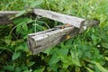 Mossy Stairs between green bushes on nature