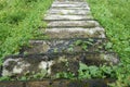 Mossy Stairs between green bushes on nature