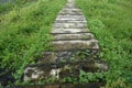 Mossy Stairs between green bushes on nature