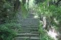 Mossy stairs in the Yellow mountain park