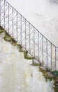 Mossy stairway Royalty Free Stock Photo