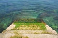 Mossy Steps Leading Down into Water