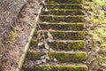 Mossy Steps in the Pacific Northwest