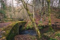 Mossy stone bridge Royalty Free Stock Photo