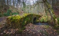 Mossy stone bridge Royalty Free Stock Photo