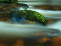 Mossy stone with grass in the mountain stream. Fresh colors of grass, deep green color of wet moss and blue milky water Royalty Free Stock Photo