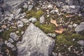 Mossy stone in highlands with falling leaves during autumn season