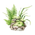 Mossy stone pile with green grass and fern illustration. Hand drawn watercolor outdoor landscape element. Park, forest