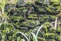 Mossy Stone Showing Natural Nature Royalty Free Stock Photo