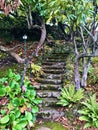 Mossy winding stone stairway in Portland, Oregon