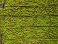 Mossy stone wall with circle shape. Vibrant background. Royalty Free Stock Photo