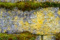 Mossy stone wall close-up can be used as a texture Royalty Free Stock Photo