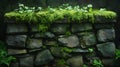 Mossy stone wall, forest background, nature texture, game design Royalty Free Stock Photo