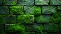Mossy stone wall texture, outdoors, lush green, background blur, design Royalty Free Stock Photo