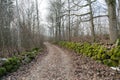 Mossy stone walls along a country road