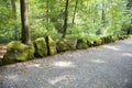 Mossy Stones on Forest Alley, Mountainpark Wilhelmhoehe, Kassel, Germany Royalty Free Stock Photo