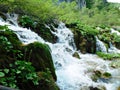 Mossy stones and water cascade, Plitvice Lakes, Croatia