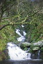 Mossy stream waterfall in Winter Royalty Free Stock Photo