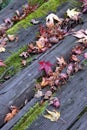 Mossy Table