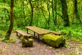 Mossy table and benches in ravine Chudo-Krasotka, Sochi, Russia