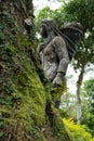 Mossy tree and a statue