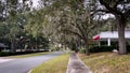 Mossy trees blowing quiet neighborhood sidewalk and speed limit sign