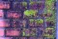 Mossy walls, old vintage brickwall