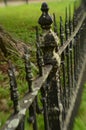 Mossy weathered vintage iron fence
