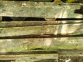 mossy weathered wood background