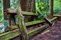 Mossy wood fence falling part next to forest