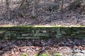 Mossy wood wall rural country backyard garden