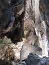 The most amazing cave entrance in Flores