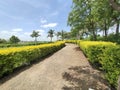 Beautiful garden area of city in india Royalty Free Stock Photo