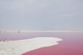 pink lake in iran