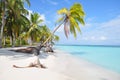 The most beautiful lonely caribbean beach at San Blas island, Panama. Central America Royalty Free Stock Photo