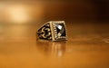 Most beautiful picture of man ring. Royalty Free Stock Photo